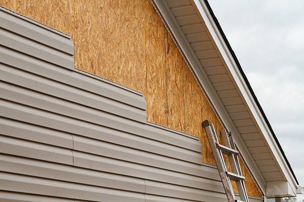 Professional Siding Contractor technician working in Morning View, KY